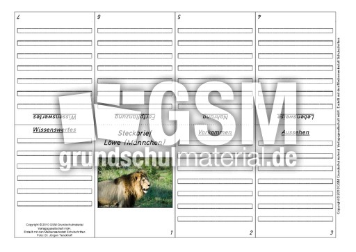 Faltbuch-Löwe-1.pdf